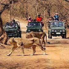 Plan Devaliya Park Online Booking For Animal Sighting